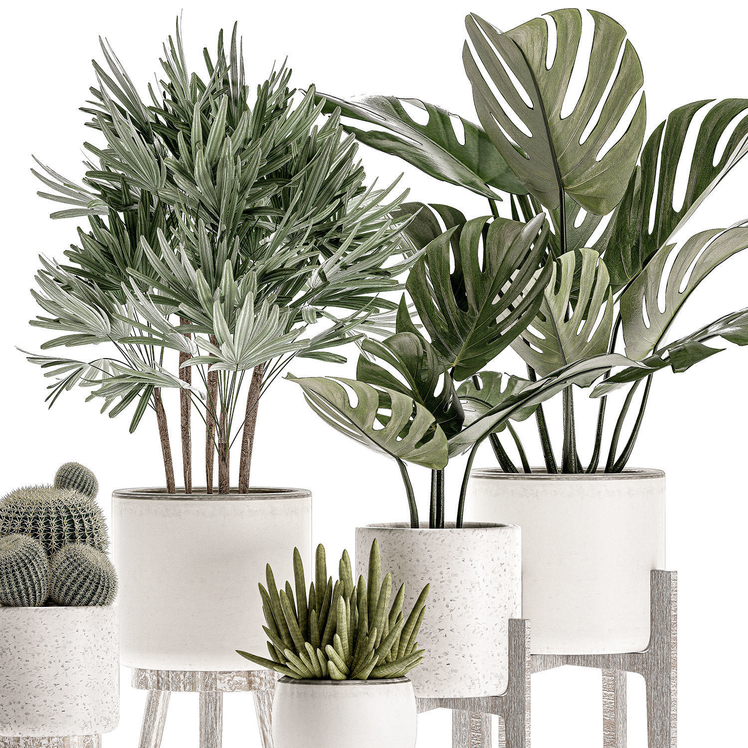 Plants in a white flowerpot for decor and interior design 508 3D model_3