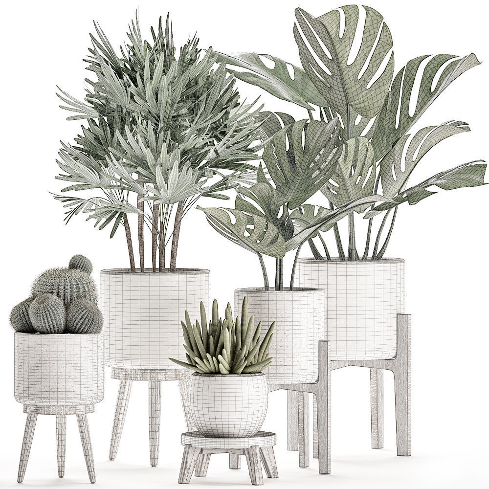 Plants in a white flowerpot for decor and interior design 508 3D model_8