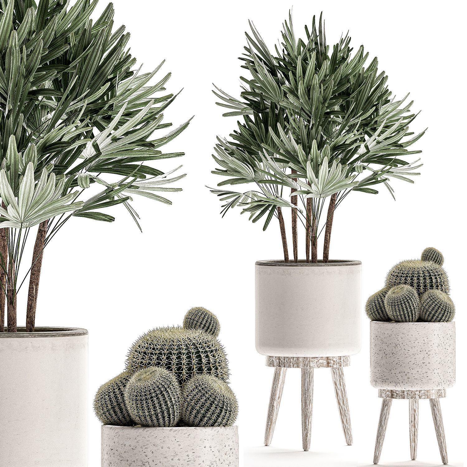 Plants in a white flowerpot for decor and interior design 508 3D model_5