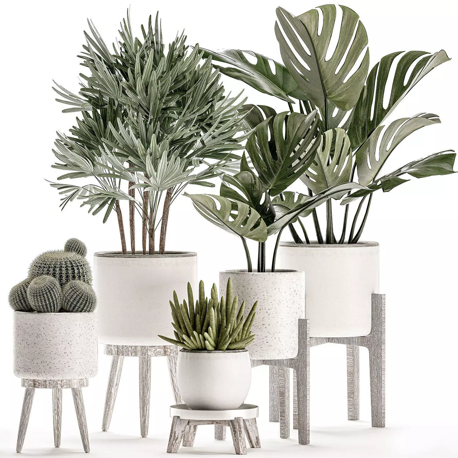 Plants in a white flowerpot for decor and interior design 508 3D model_0