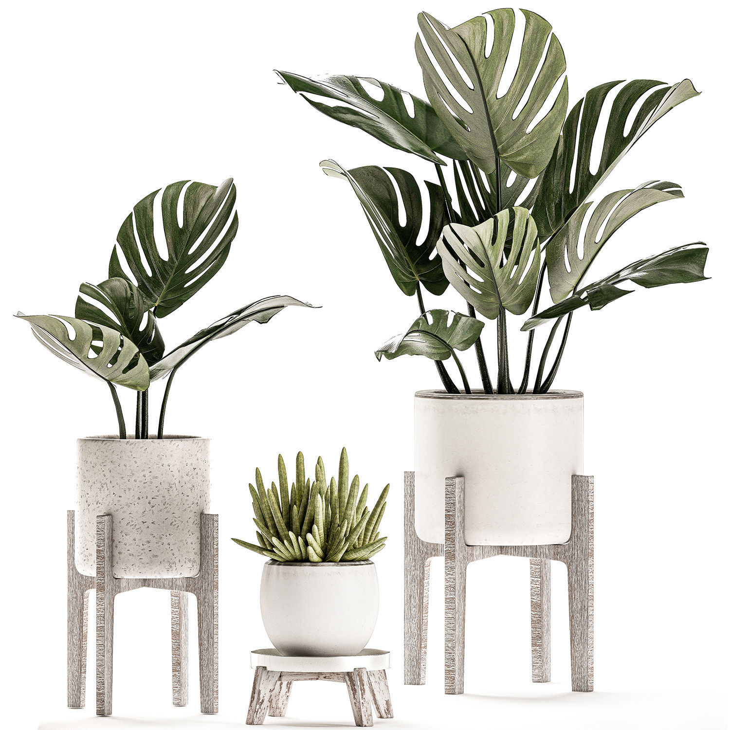 Plants in a white flowerpot for decor and interior design 508 3D model_4