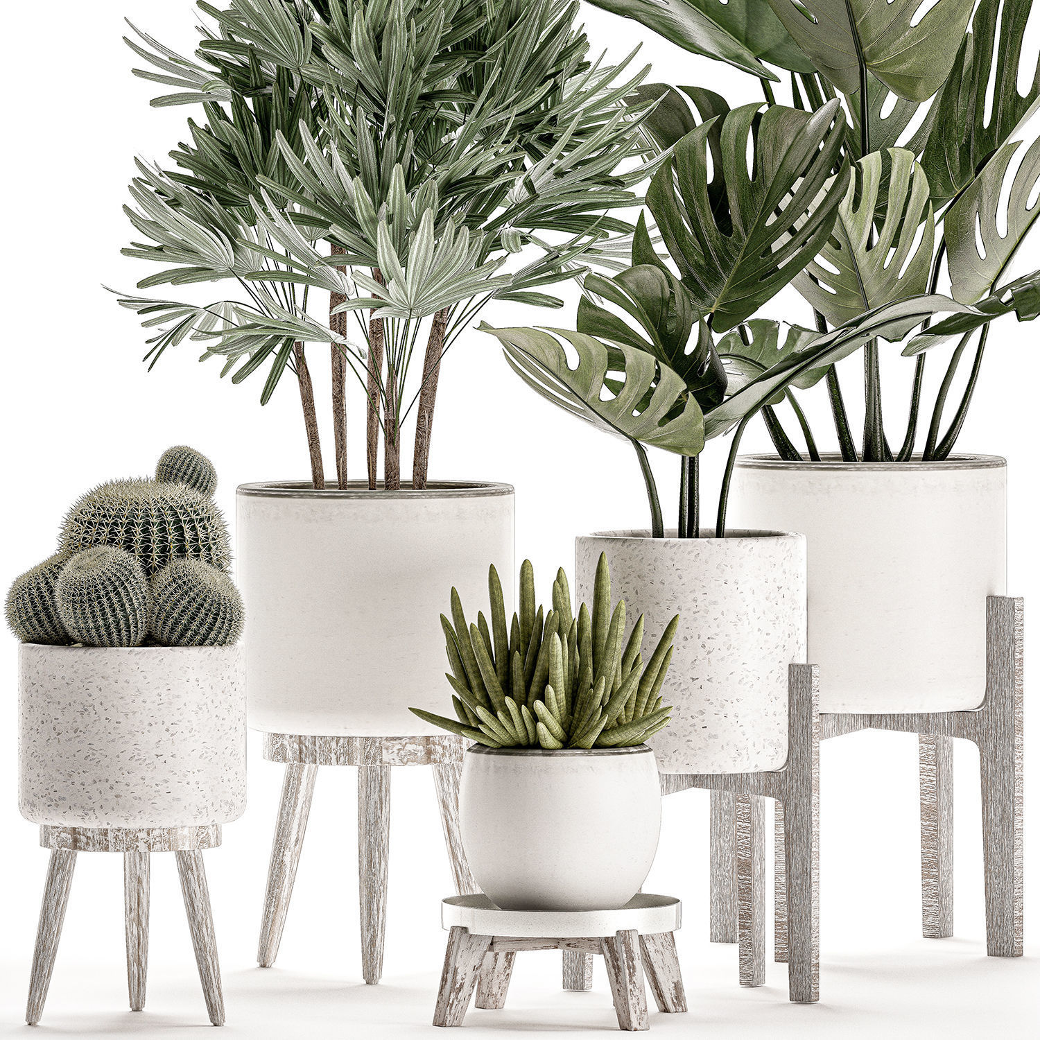 Plants in a white flowerpot for decor and interior design 508 3D model_2