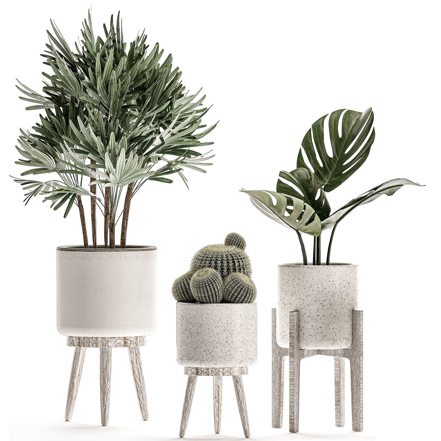 Plants in a white flowerpot for decor and interior design 508 3D model_1