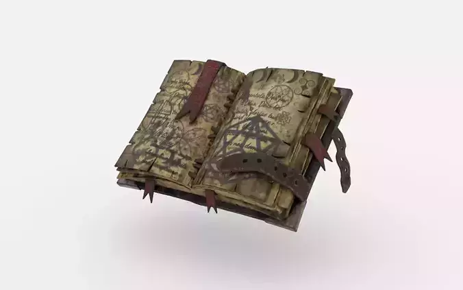 Old Witch Book