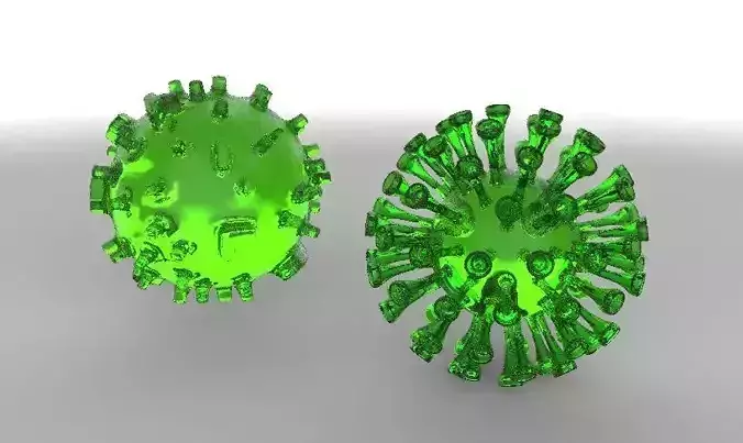 coronavirus 3d model two coronaviruses 3D model