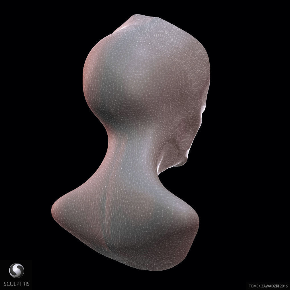 Alien Head Sculpt 3D model_9