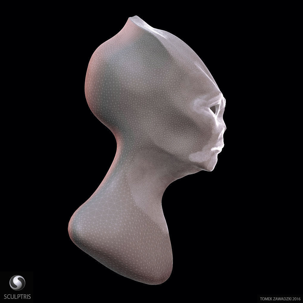 Alien Head Sculpt 3D model_8