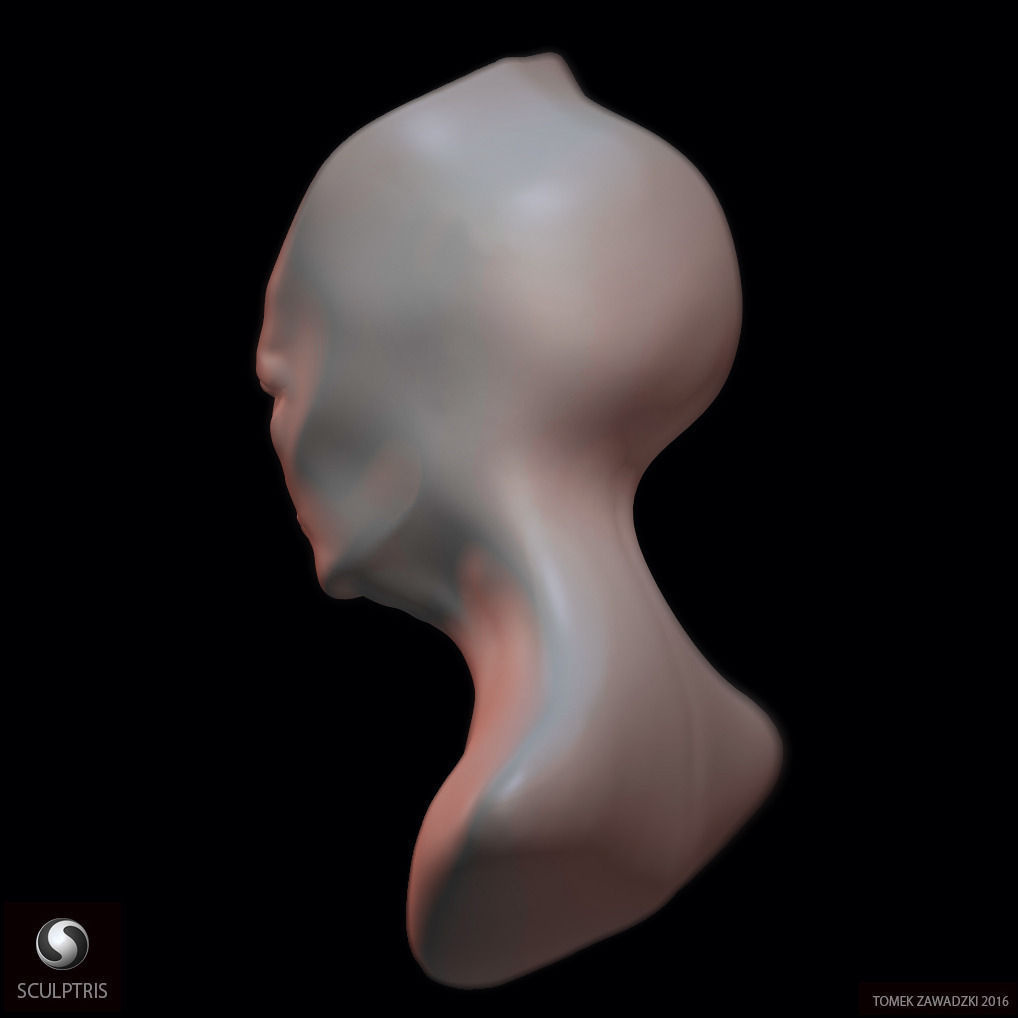 Alien Head Sculpt 3D model_3