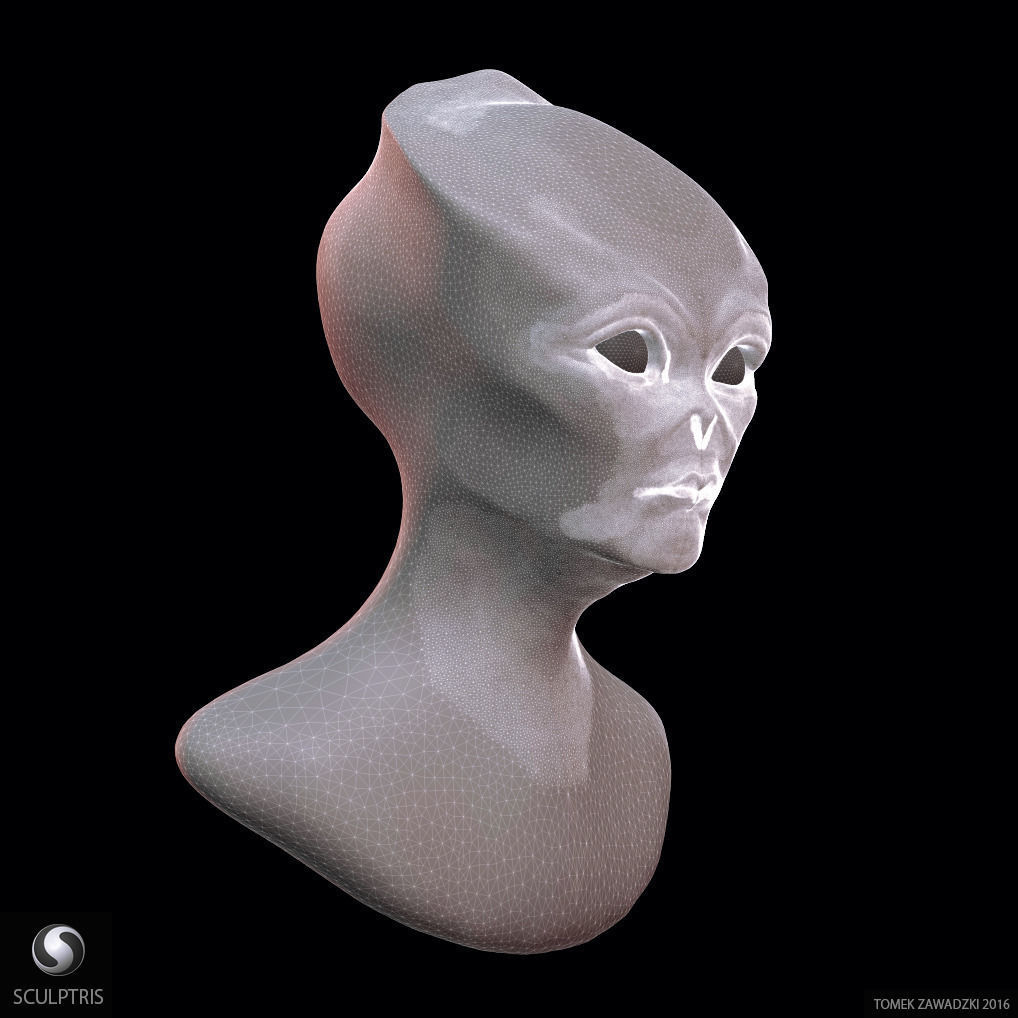 Alien Head Sculpt 3D model_7