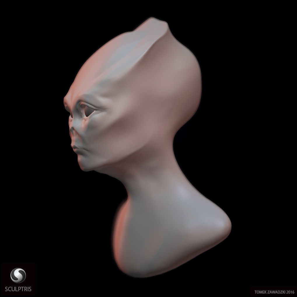 Alien Head Sculpt 3D model_4