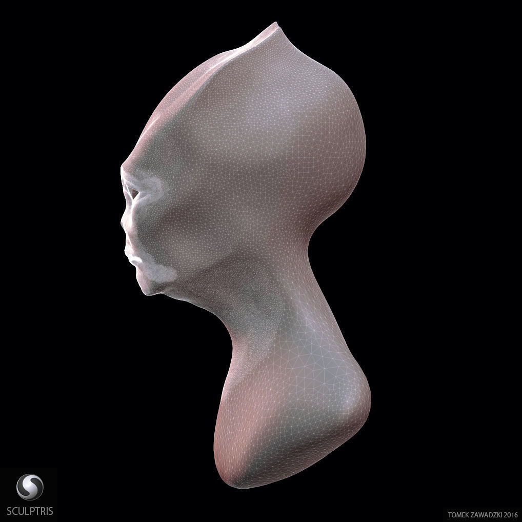 Alien Head Sculpt 3D model_11