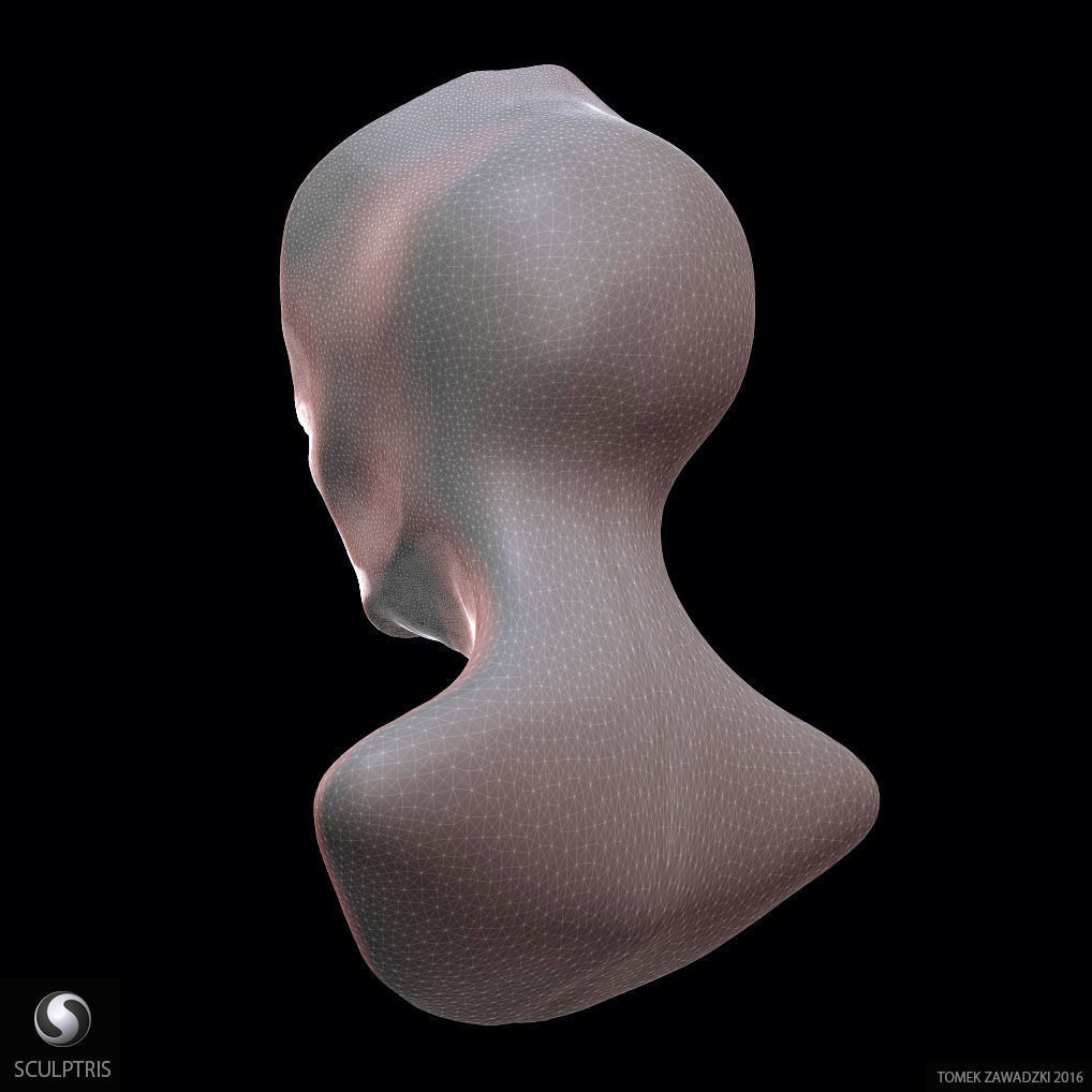 Alien Head Sculpt 3D model_10