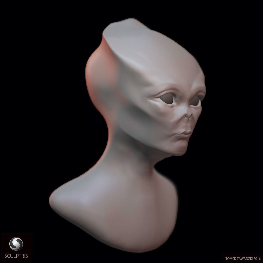 Alien Head Sculpt 3D model_1