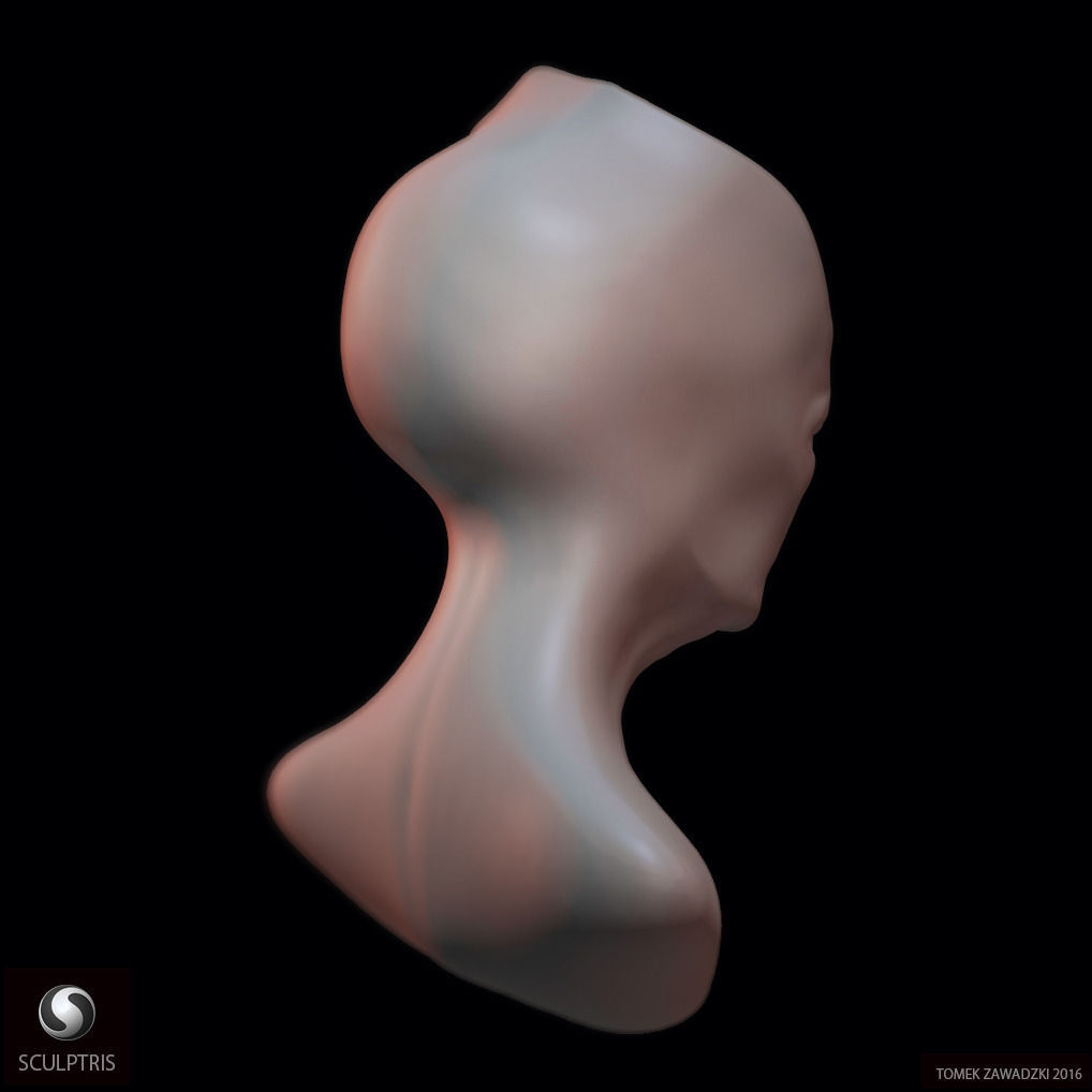 Alien Head Sculpt 3D model_2