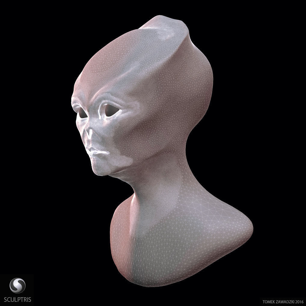 Alien Head Sculpt 3D model_12