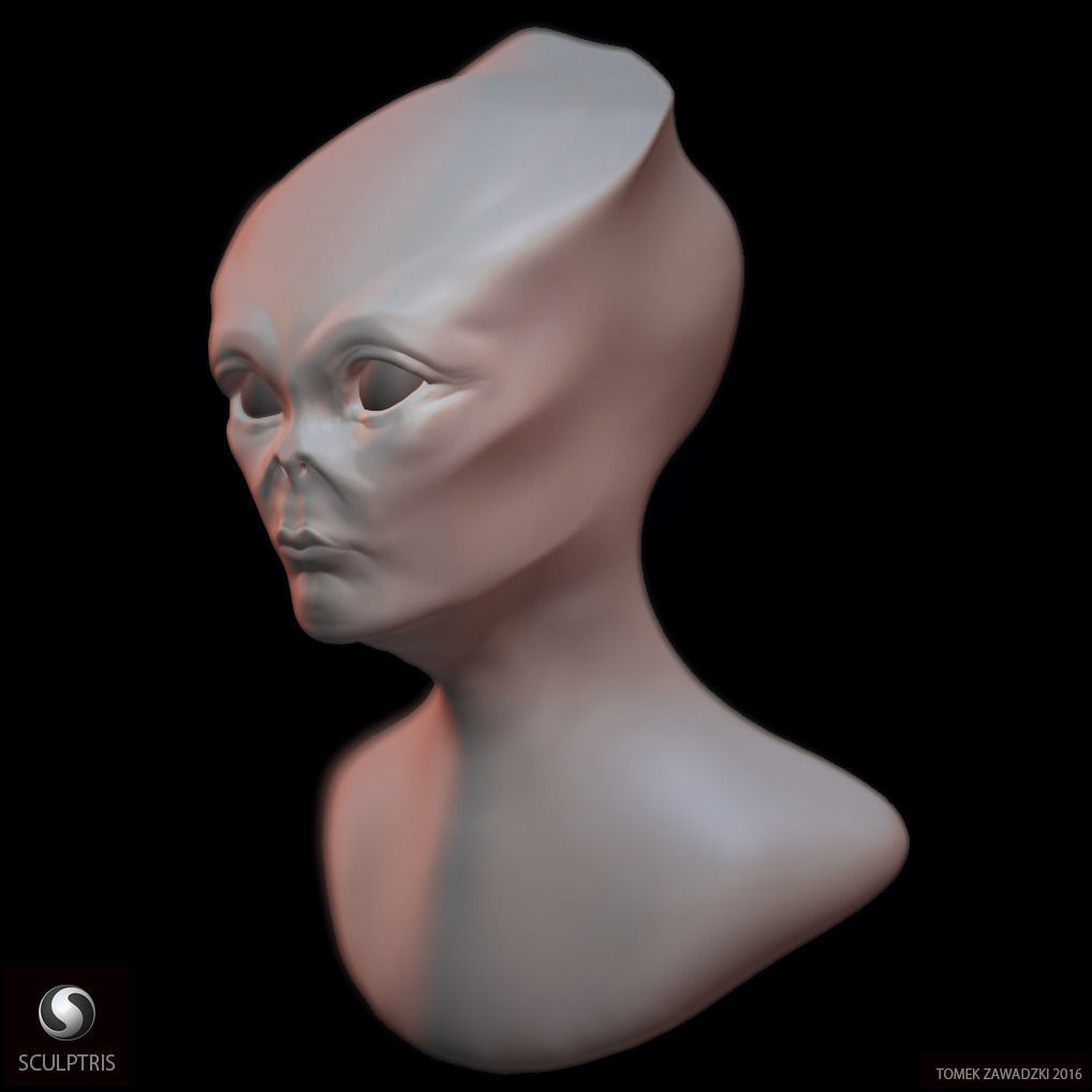 Alien Head Sculpt 3D model_5
