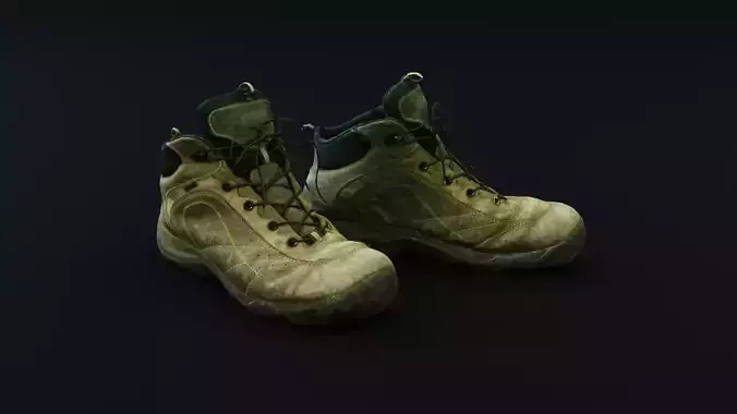 Boots - short - worn