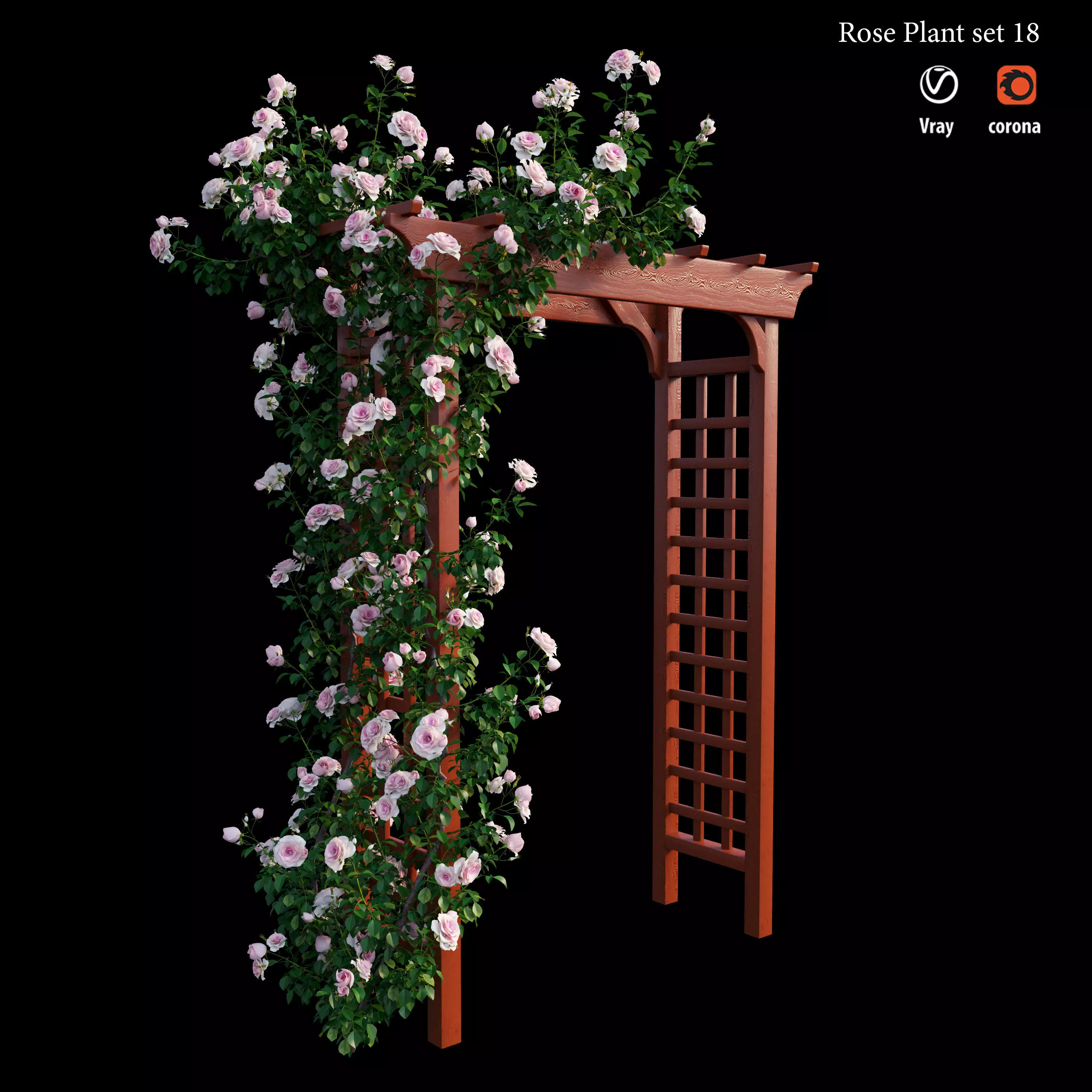 Rose plant set 18 3D model