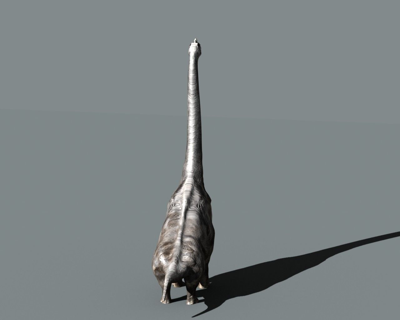 Brachiosaurus dinosaur 3D model_3
