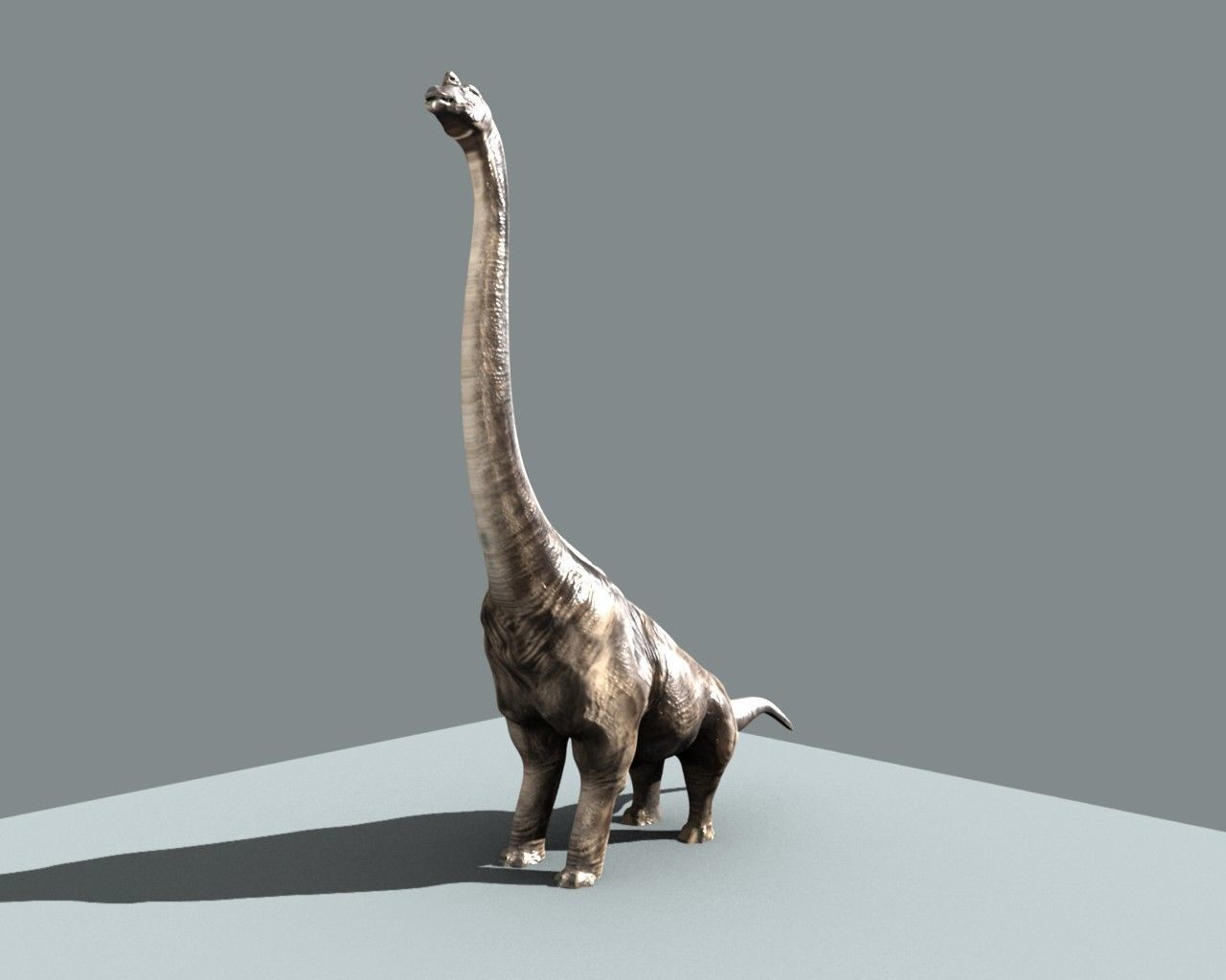 Brachiosaurus dinosaur 3D model_1
