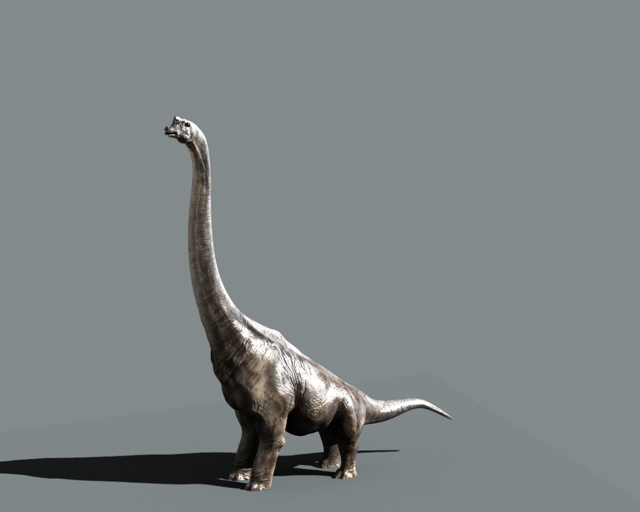 Brachiosaurus dinosaur 3D model_4