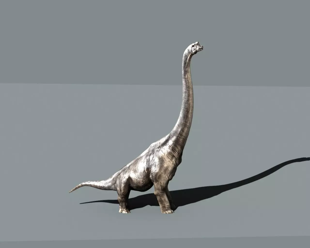 Brachiosaurus dinosaur 3D model_0