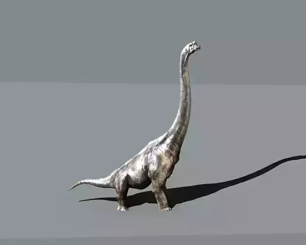 Brachiosaurus dinosaur 3D model