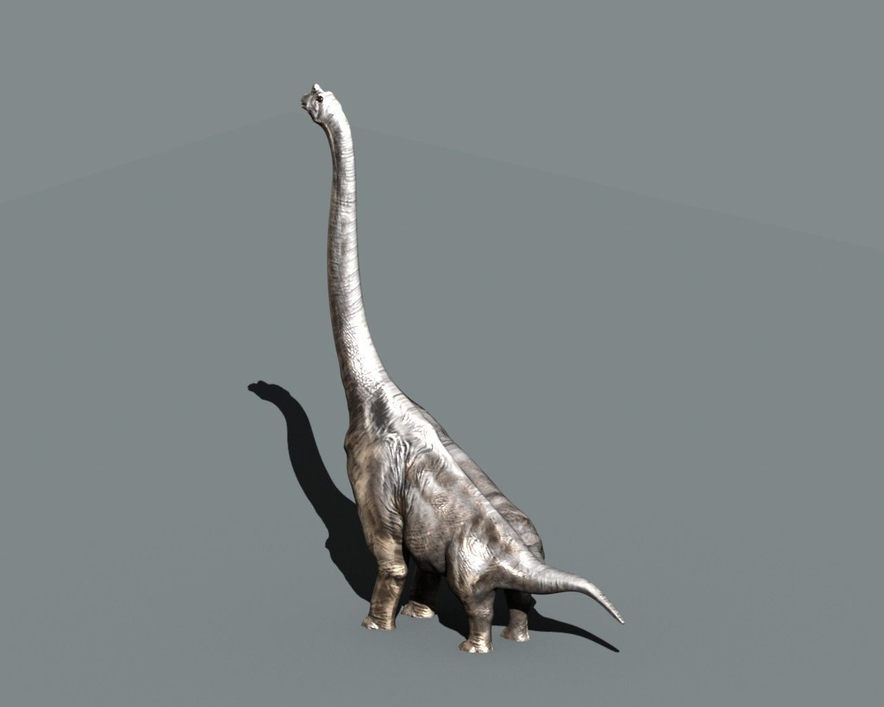 Brachiosaurus dinosaur 3D model_5