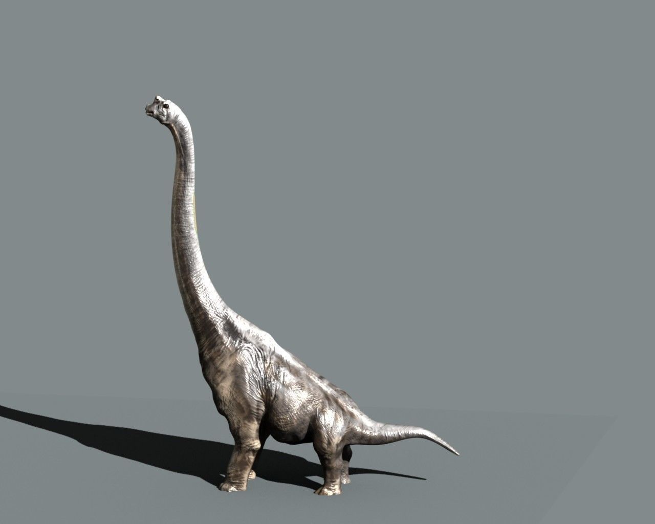 Brachiosaurus dinosaur 3D model_6