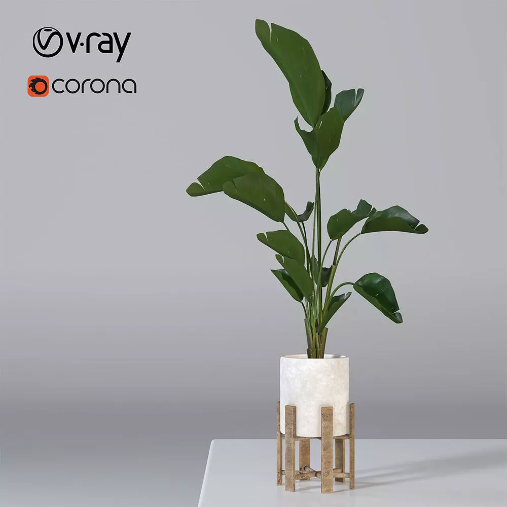 vase 01 Free 3D model