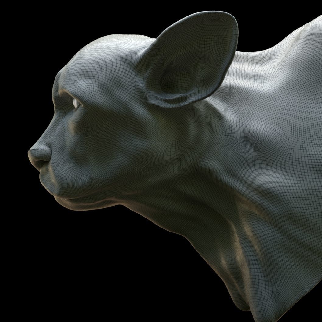 Cheetah Head 3D model_6