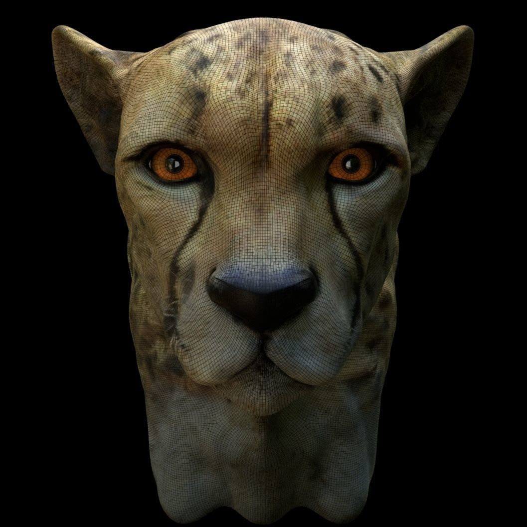 Cheetah Head 3D model_5