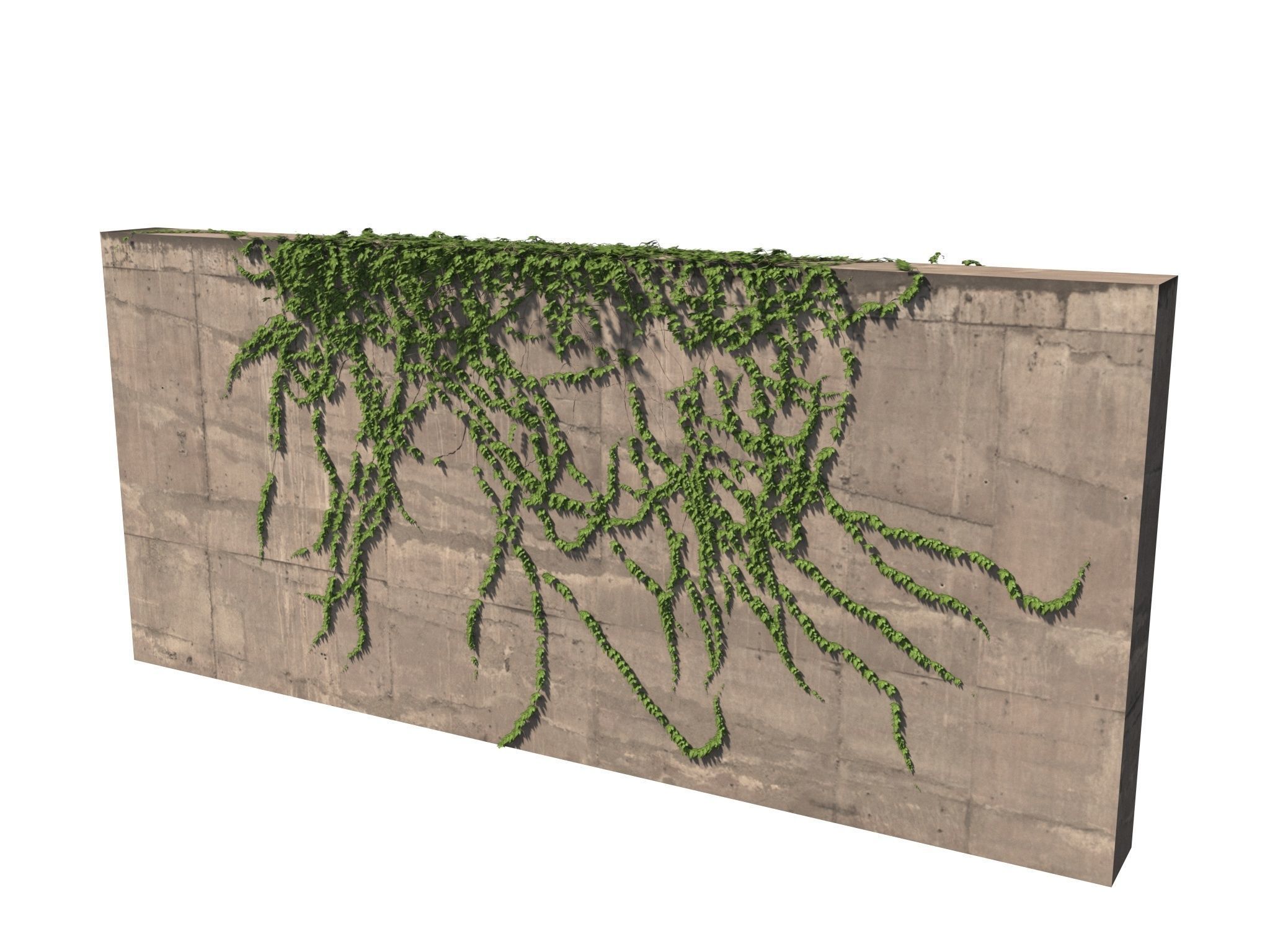 Hanging Ivy Wall Mini Bundle vol 03 3D model_6