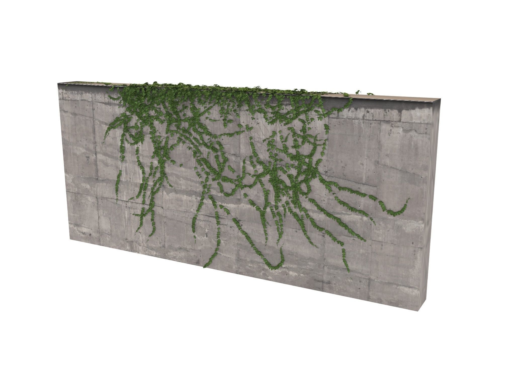 Hanging Ivy Wall Mini Bundle vol 03 3D model_4