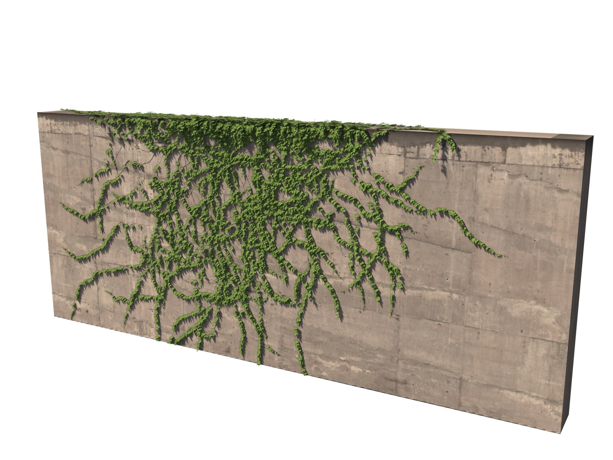 Hanging Ivy Wall Mini Bundle vol 03 3D model_18