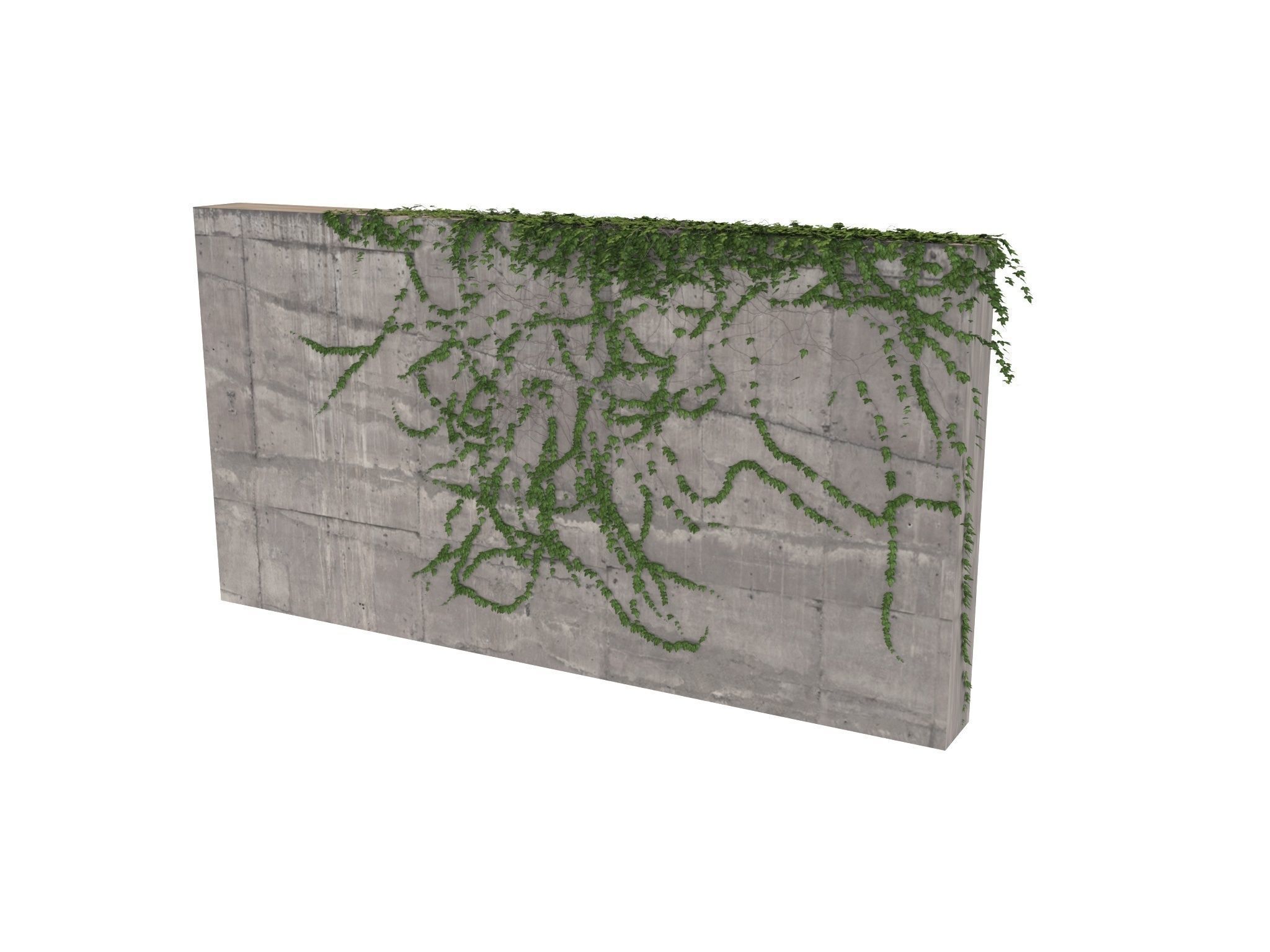 Hanging Ivy Wall Mini Bundle vol 03 3D model_7