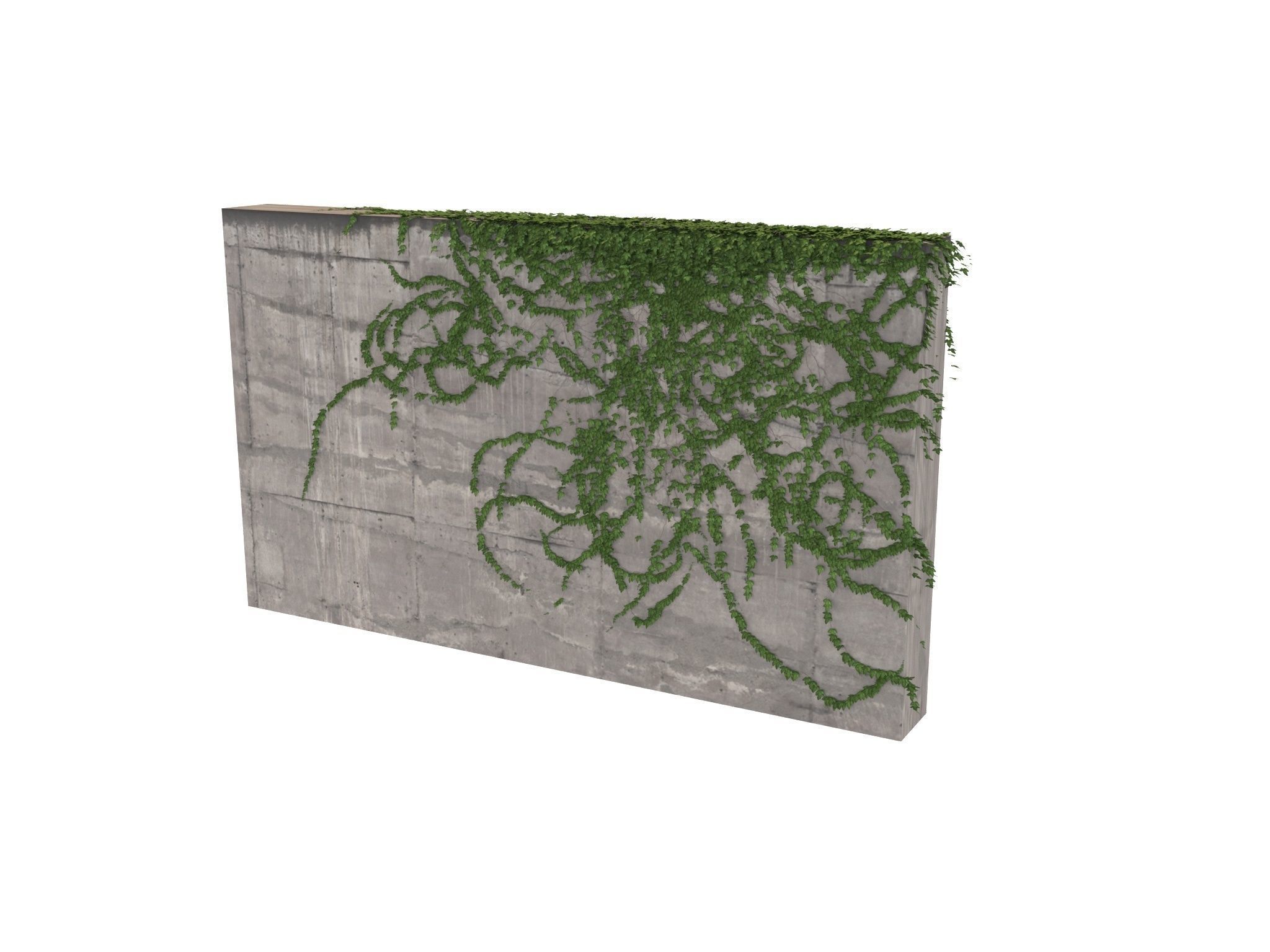 Hanging Ivy Wall Mini Bundle vol 03 3D model_10