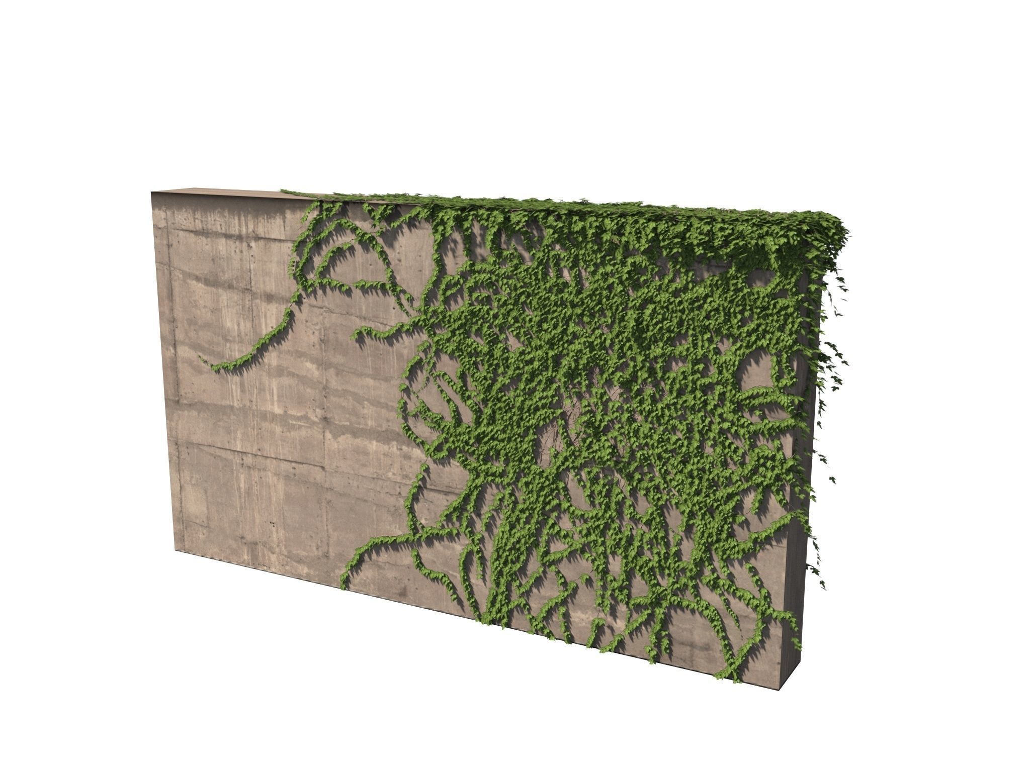 Hanging Ivy Wall Mini Bundle vol 03 3D model_15