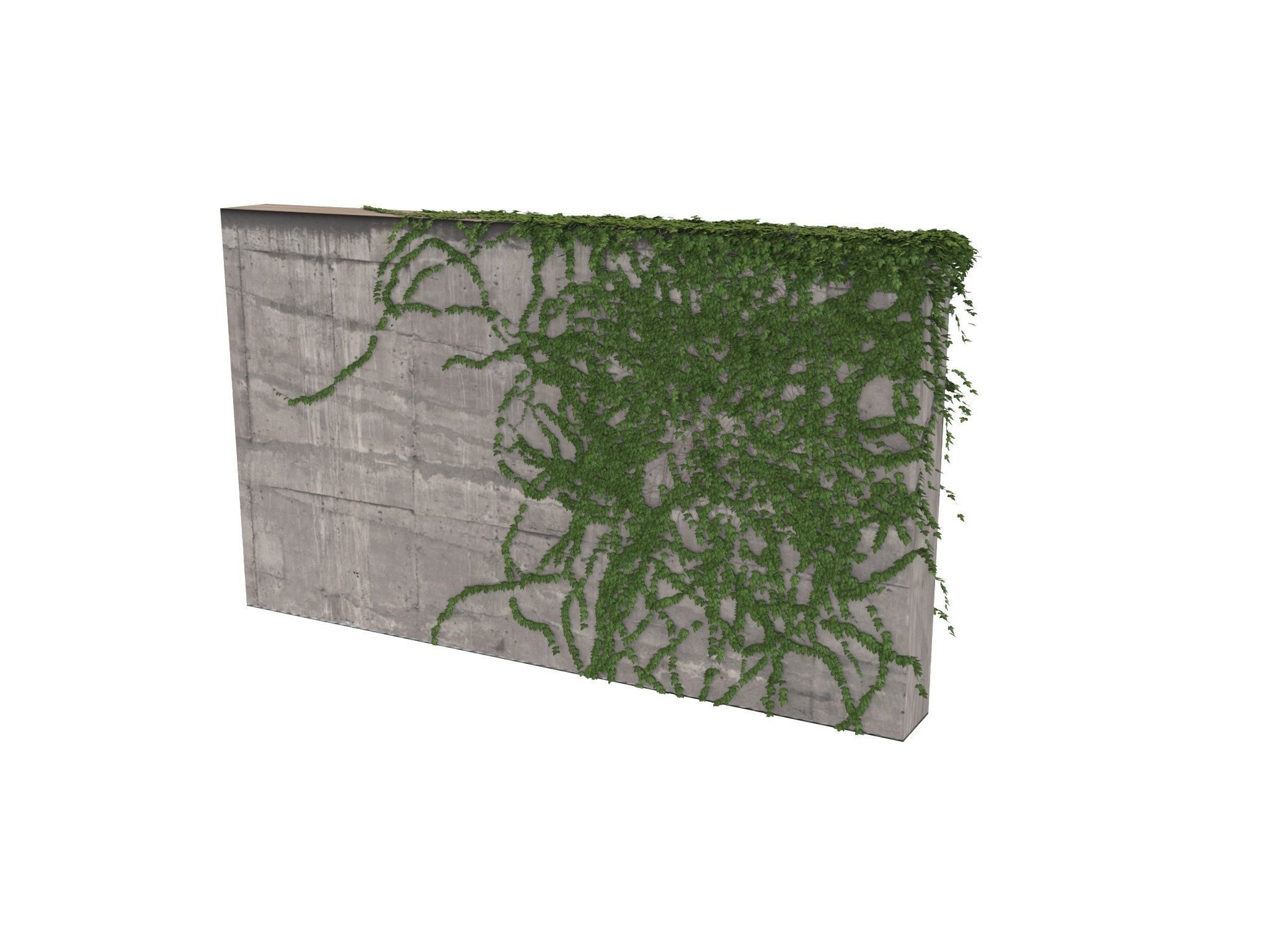 Hanging Ivy Wall Mini Bundle vol 03 3D model_13