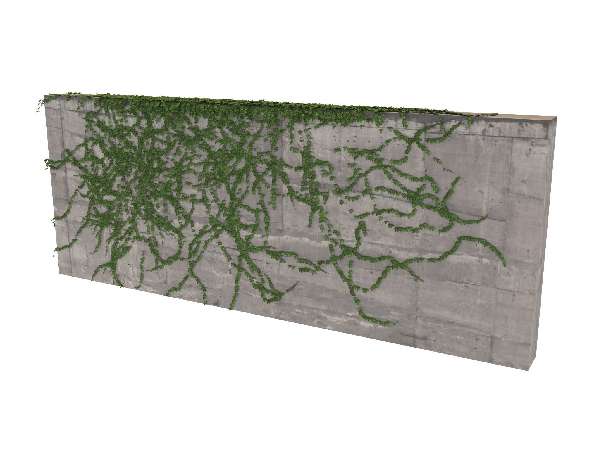 Hanging Ivy Wall Mini Bundle vol 03 3D model_1