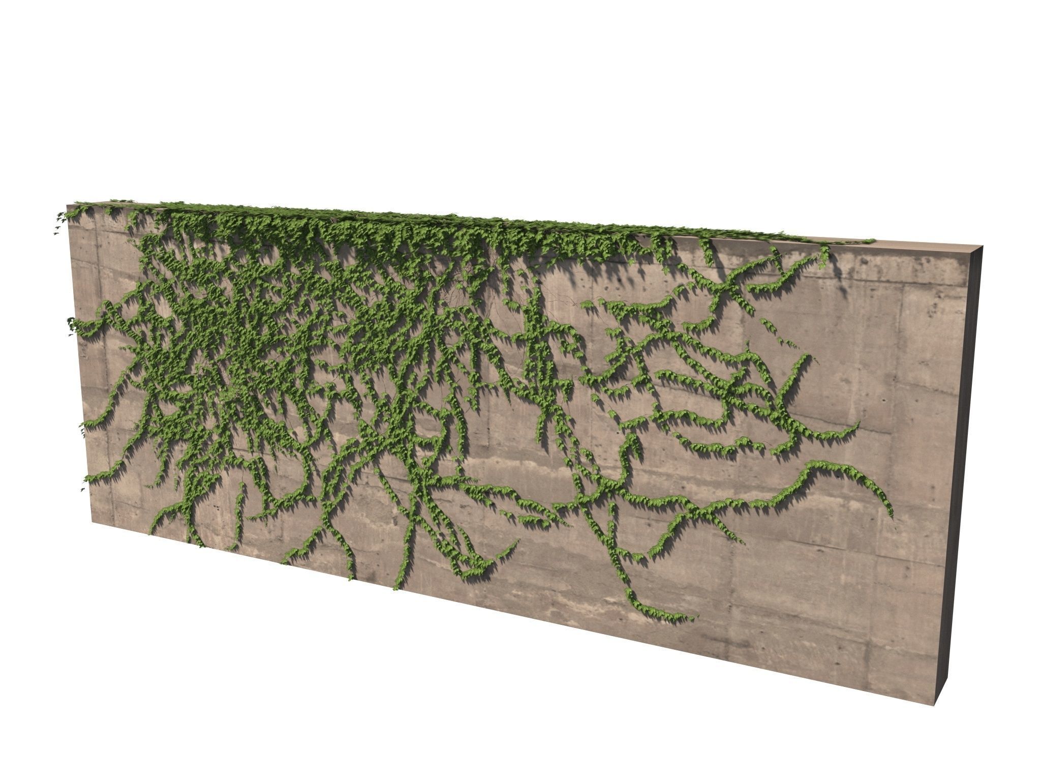Hanging Ivy Wall Mini Bundle vol 03 3D model_3
