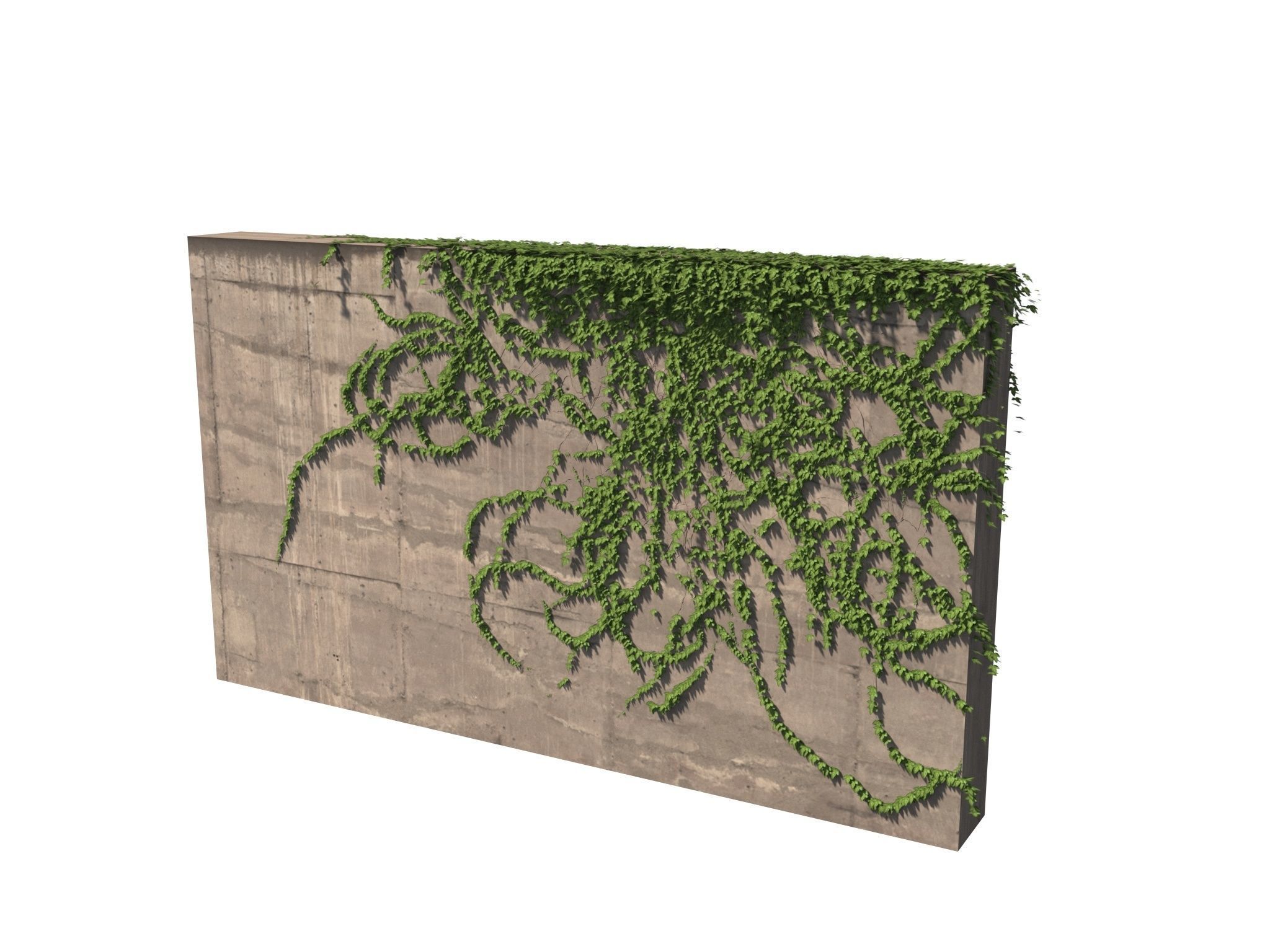 Hanging Ivy Wall Mini Bundle vol 03 3D model_12