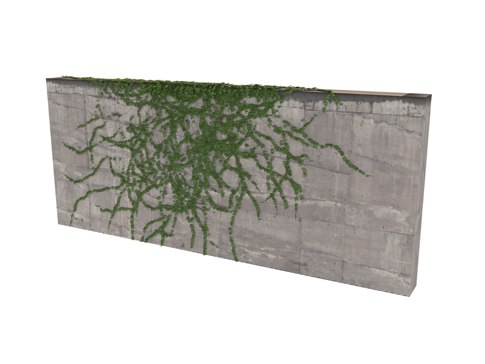 Hanging Ivy Wall Mini Bundle vol 03 3D model_16