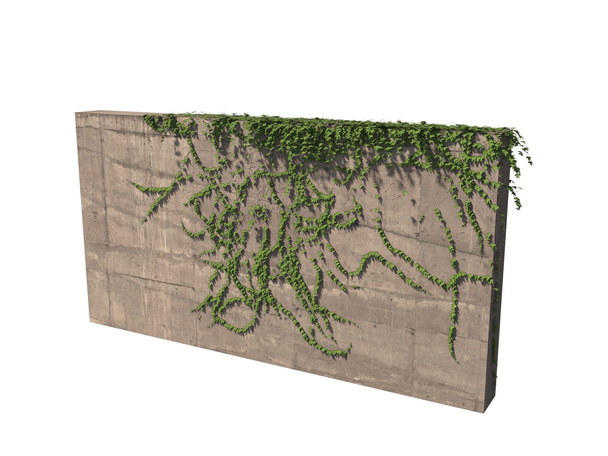 Hanging Ivy Wall Mini Bundle vol 03 3D model_9