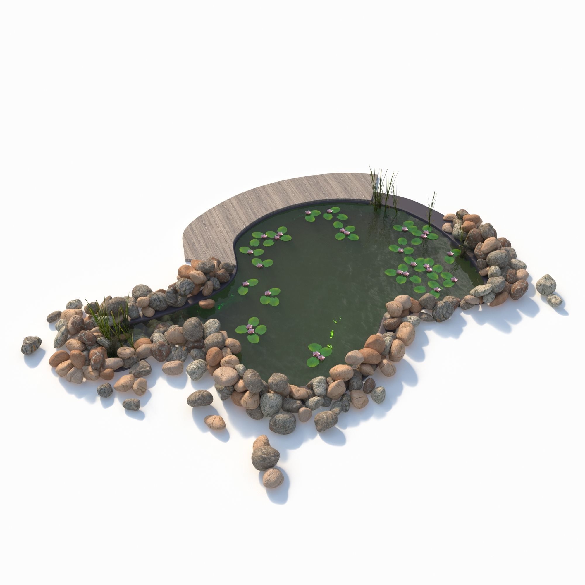 Garden Pond 3D model_2