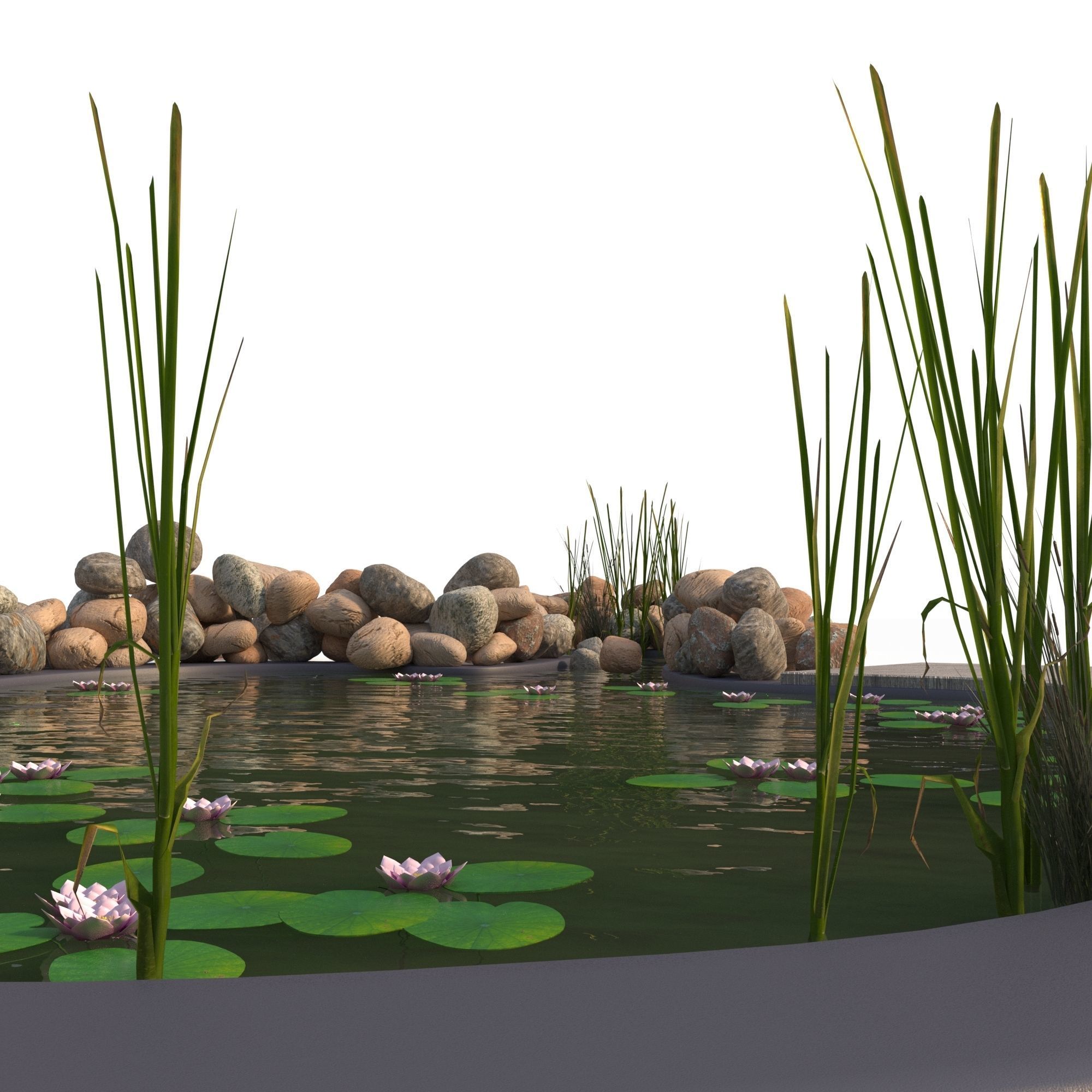 Garden Pond 3D model_5
