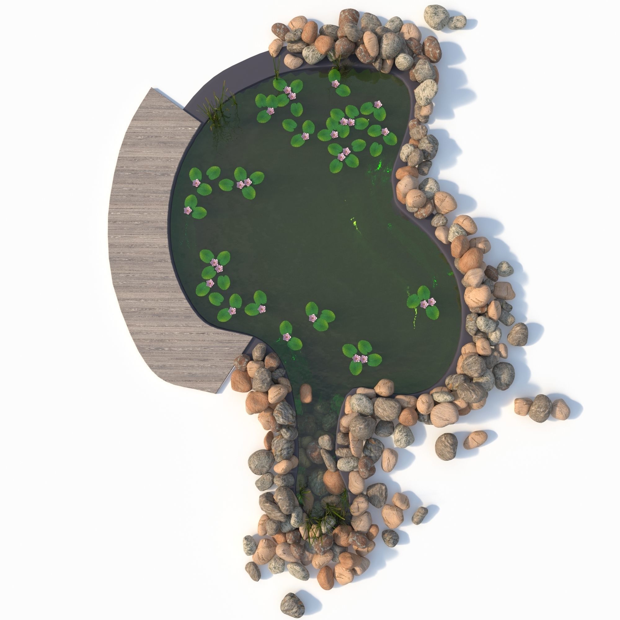 Garden Pond 3D model_4