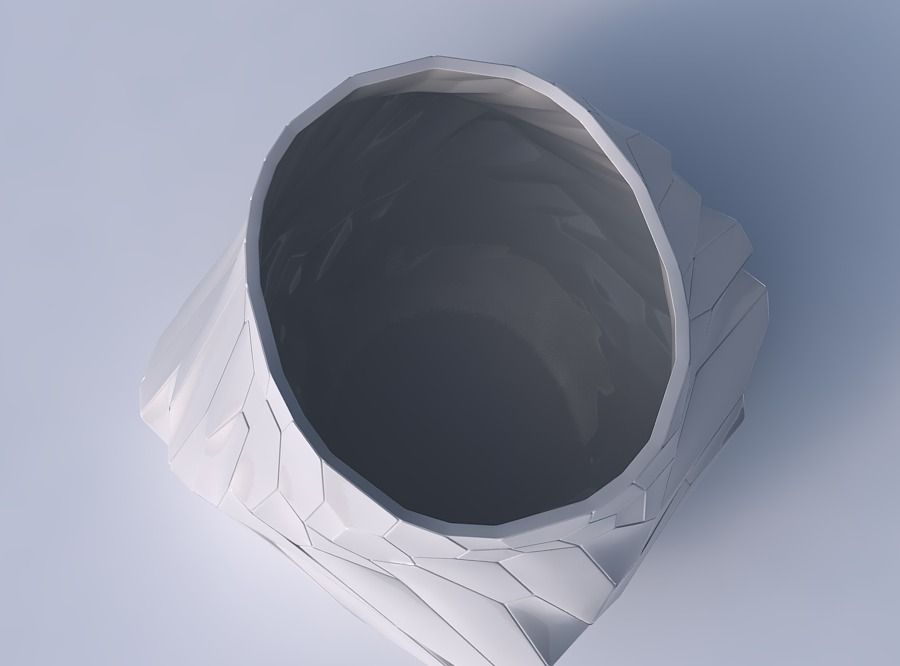 Bowl twisted elipse with fine twisted organic cells 3D print model_2