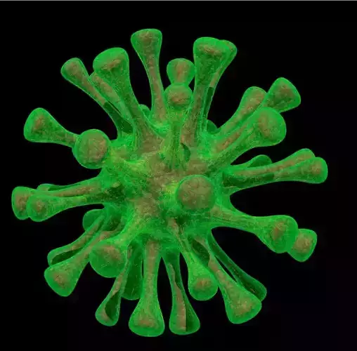 Virus coronavirus - coronavirus Free low-poly 3D model