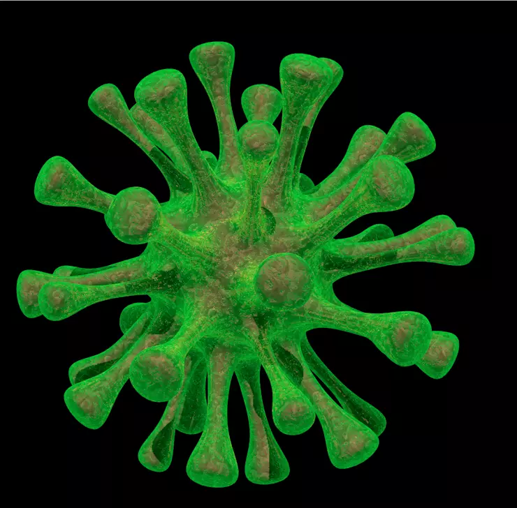 Virus coronavirus - coronavirus Free low-poly 3D model